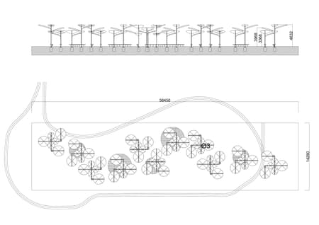 Structural Botany